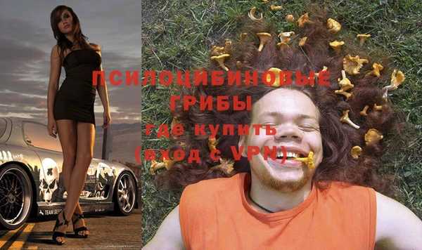 прущие грибы Алексин