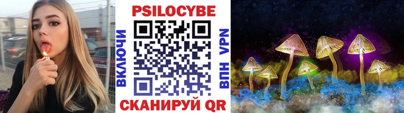 Псилоцибиновые грибы Psilocybe Бикин